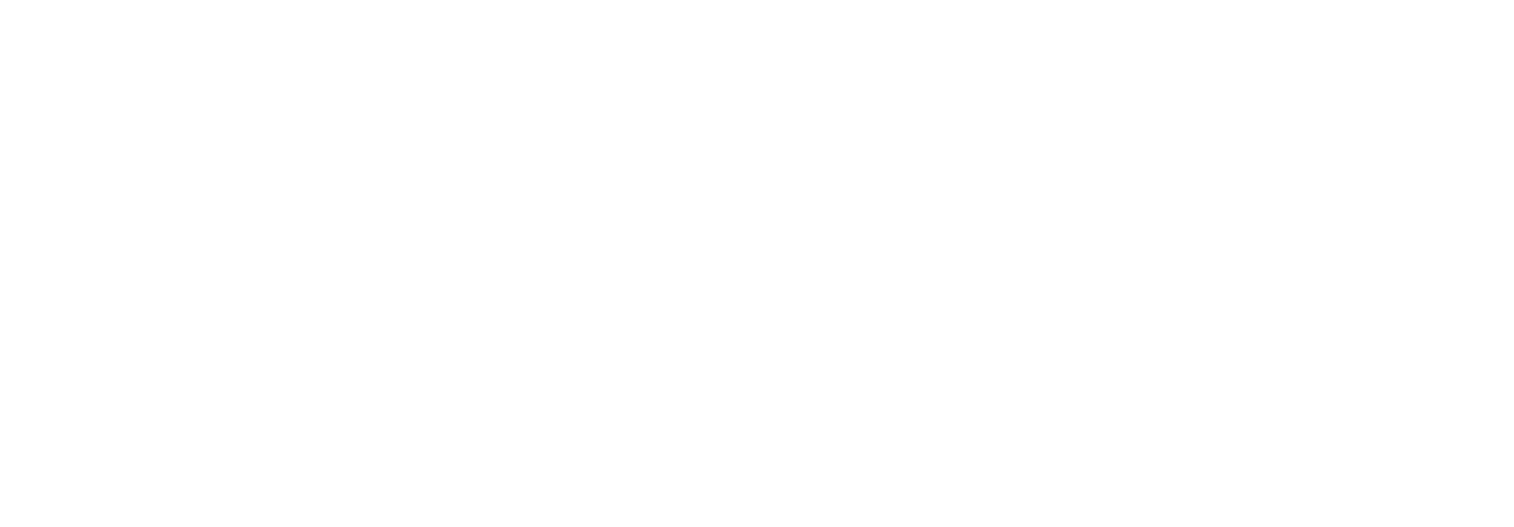 H1